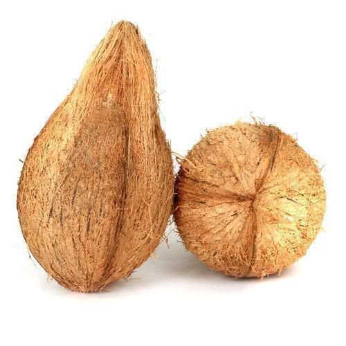 Brown Coconut 01