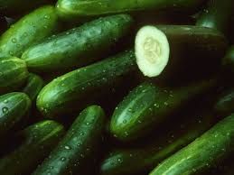Fresh Cucumber 01