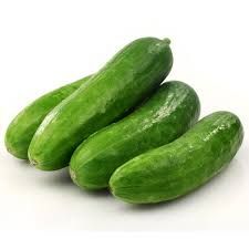 Fresh Cucumber 02
