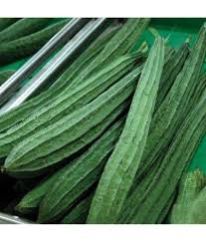 Fresh Ridge Gourd 02