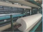 Polyester Geogrid 01