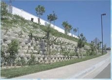 Polyester Geogrid 04