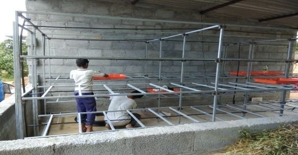 Hydroponic Green Fodder Machine 02