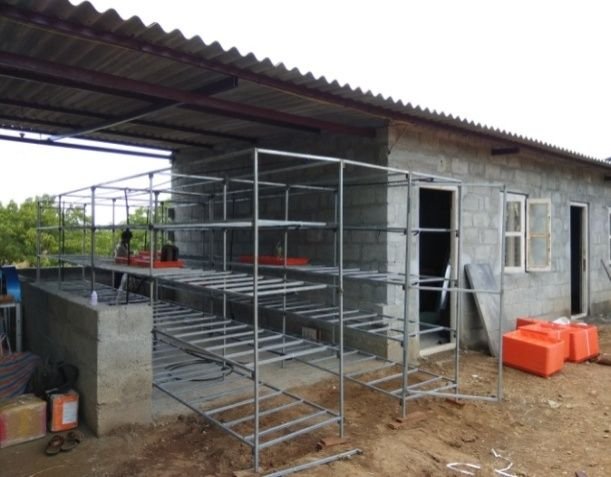 Hydroponic Green Fodder Machine 04