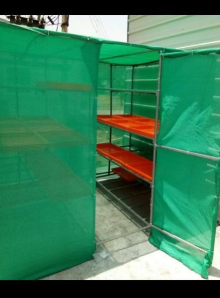 Hydroponic Green Fodder Machine 06