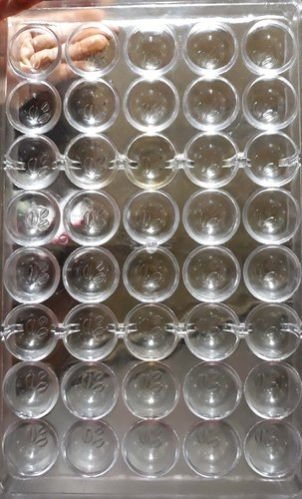 Round Chocolate Mould 03