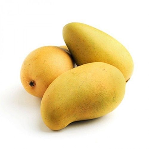 Kesar Mango 01