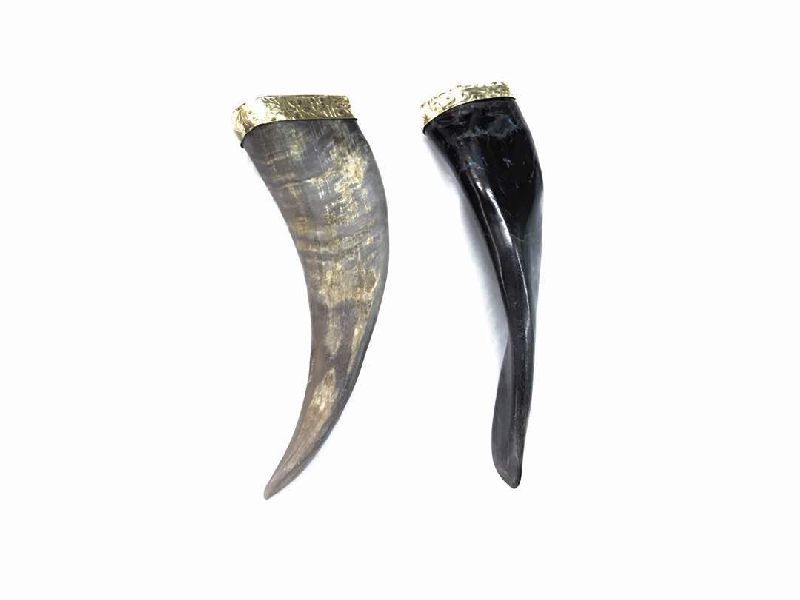 Horn Pendants