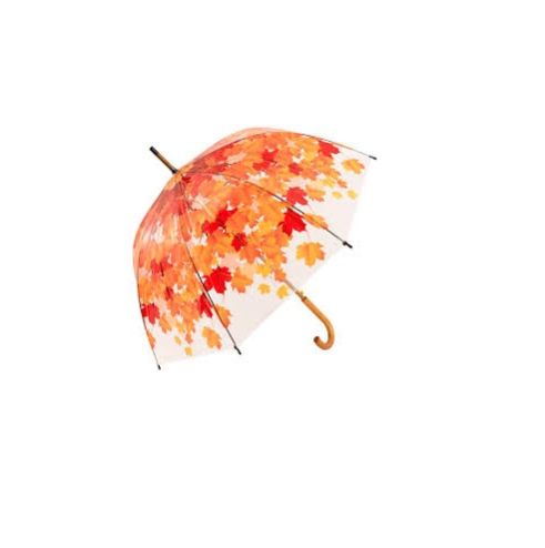 Printed Umbrella 02