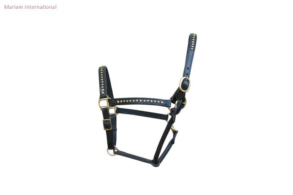MI 504 Leather Horse Halter