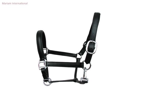 MI 506 Leather Horse Halter