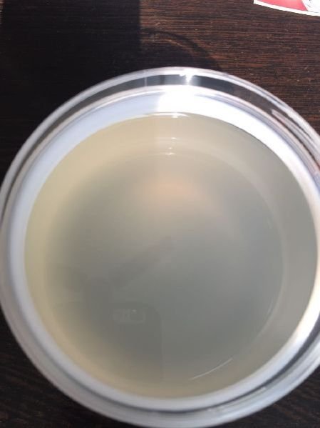 Virgin Coconut Oil-No Label