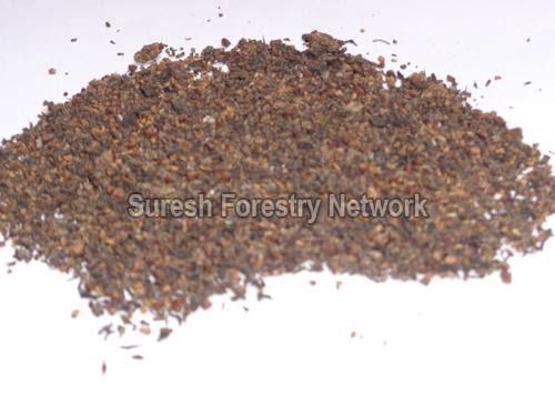 Neolamarckia Cadamba