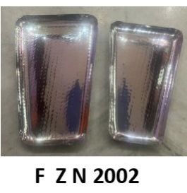 F Z N 2002