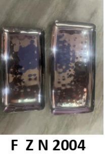 F Z N 2004