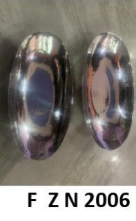 F Z N 2006