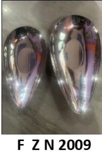 F Z N 2009