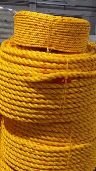 PP Danline Rope 01