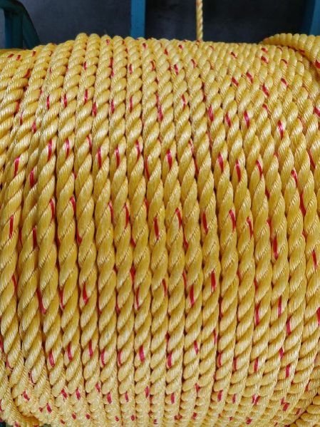 PP Danline Rope 02