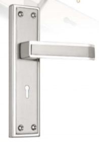 7012 Stainless Steel Mortise Door Handle