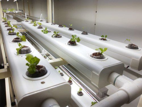 Hydroponic Nft Channel