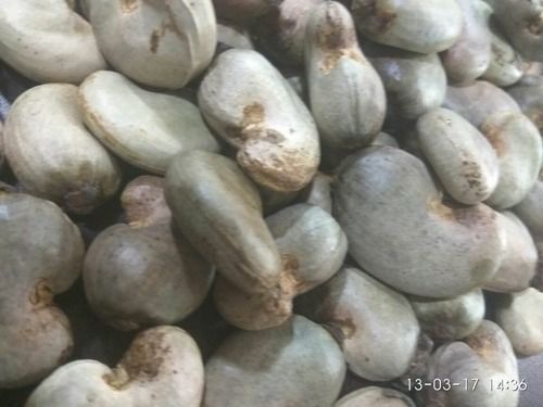 Karnataka Raw Cashew Nuts