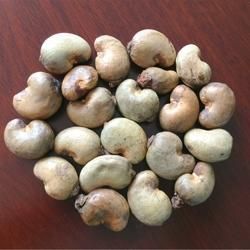 Kerala Raw Cashew Nuts