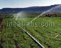 Orchard Irrigation System