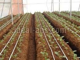 Polyhouse Irrigation System