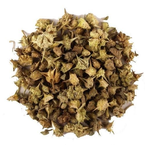 Gokhru Herbs