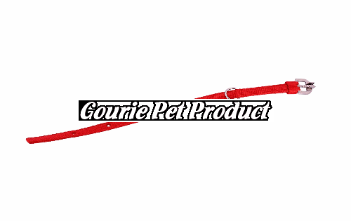 High Quality PP Dog Collar 01