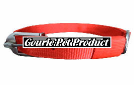 High Quality PP Dog Collar 02