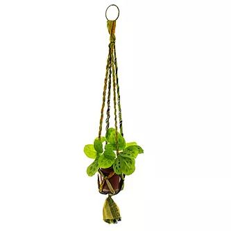 HLY-PH13 Macrame Plant Hanger