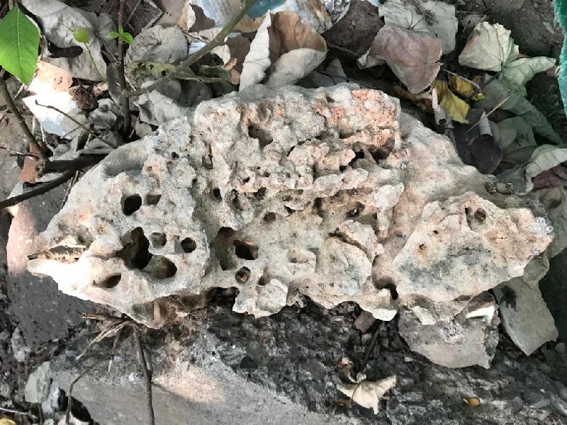 Porbander Rocks Pebbles