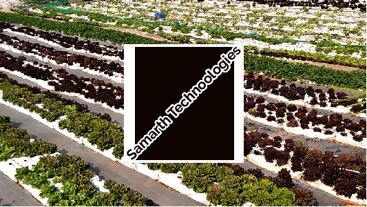 Global GAP (Good Agricultural Practices) Consultancy 04