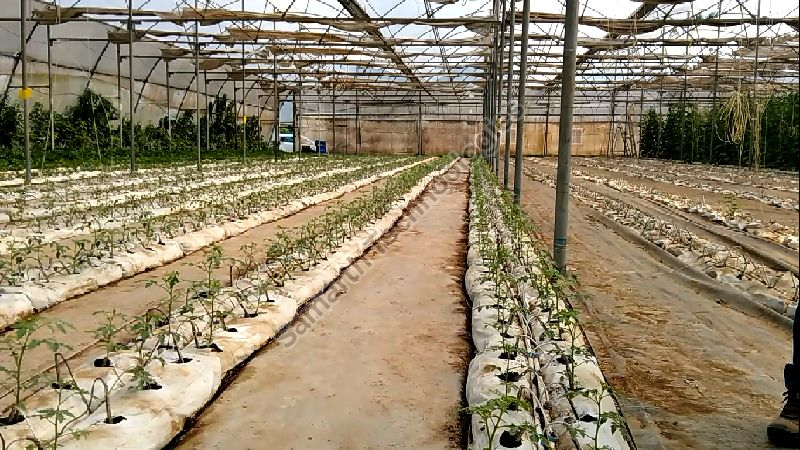 Global GAP (Good Agricultural Practices) Consultancy 06