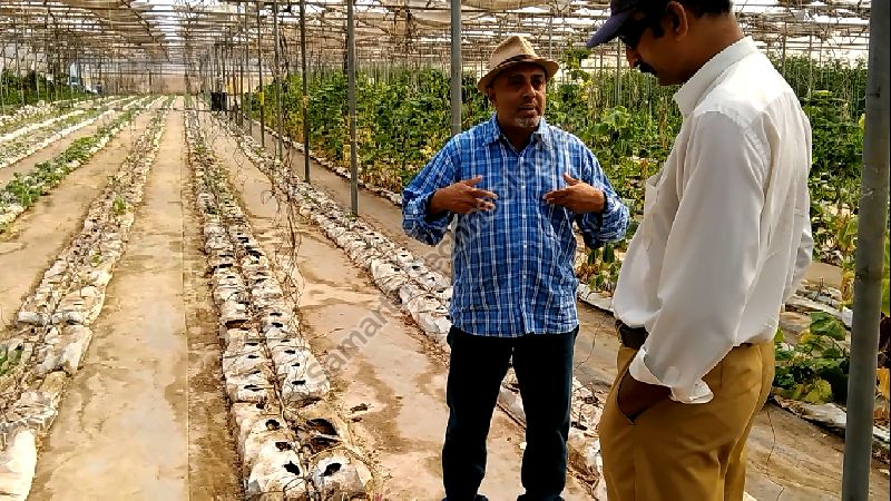 Global GAP (Good Agricultural Practices) Consultancy 08