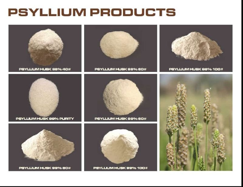 Psyllium Husk Brochure 2