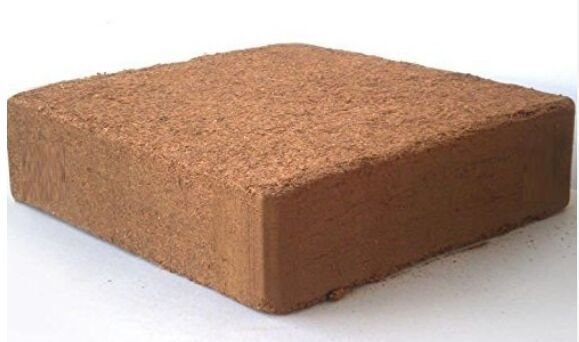 Coco Peat Block 02