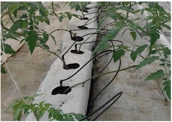 Coco Peat Grow Bag 02