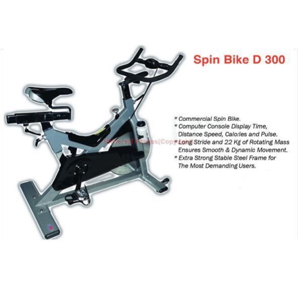 Spin Bike D 300
