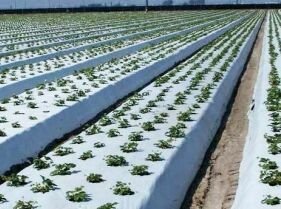 Agriculture Dr. Bio 7292 Blow Film Extrusion, Cast Film Extrusion