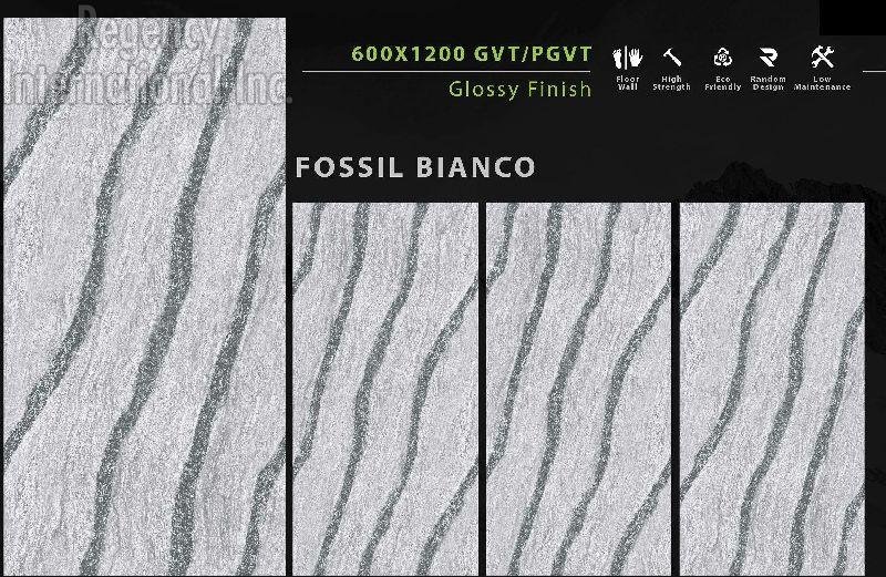 Fossil Bianco