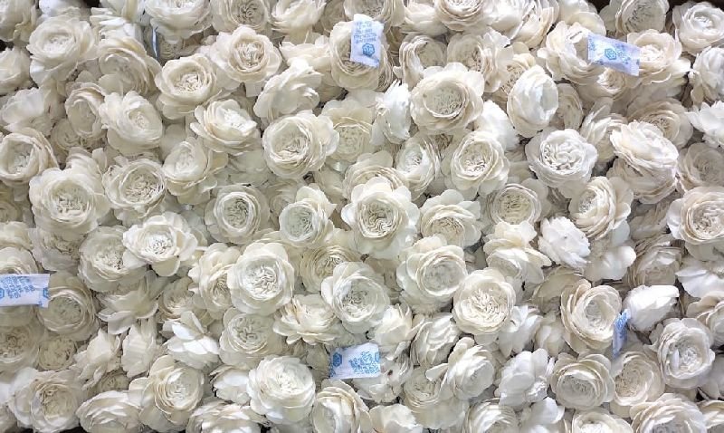 SOLA FLOWER BULK PACKING 1