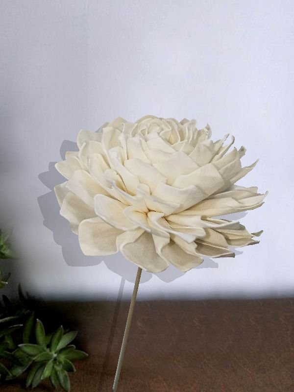 SOLA MANGOLIA FLOWER