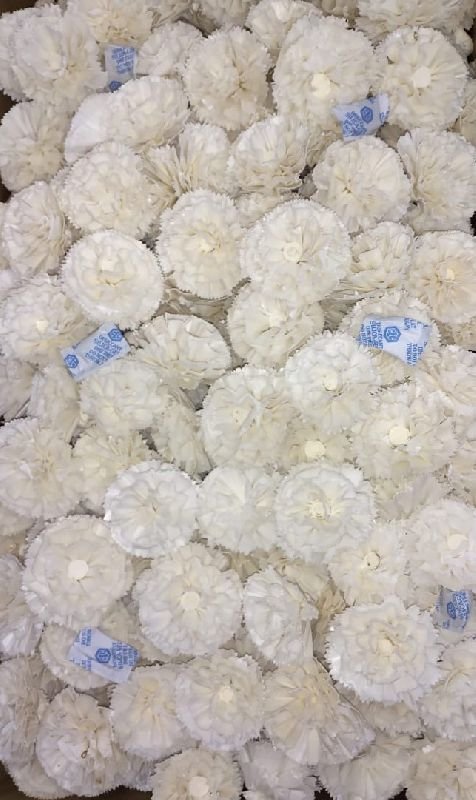 SOLA MERRYGOLD IN BULK PACKING