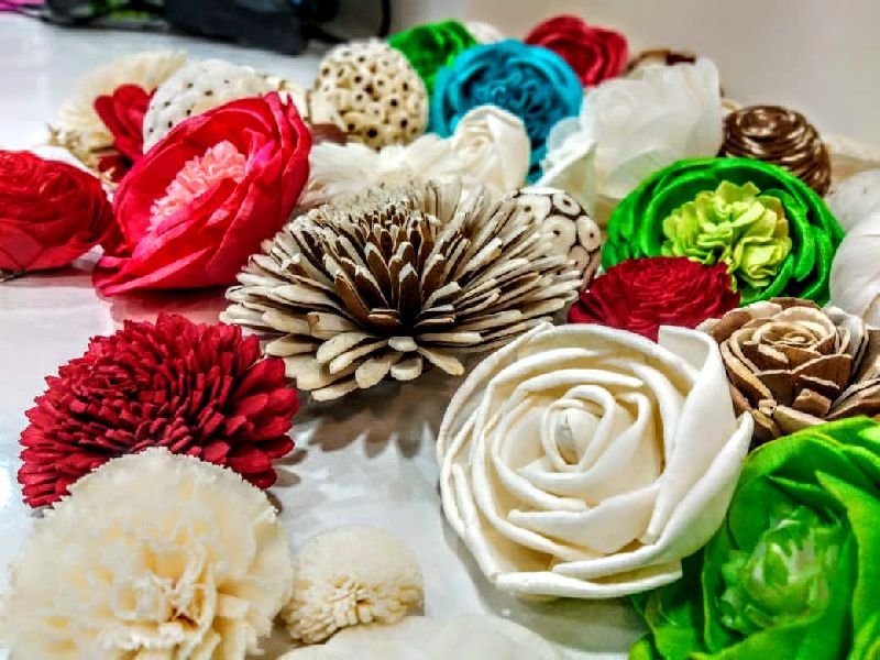 SOLA NATURAL & COLOURED