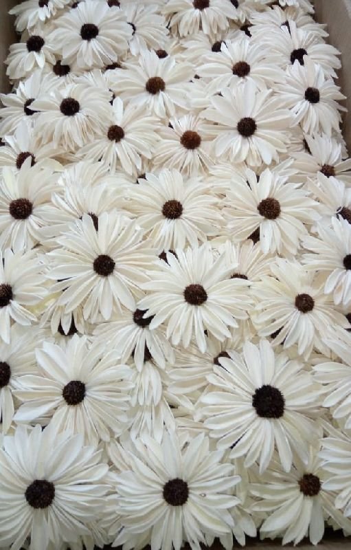 SOLA SUNFLOWER WITH DAISY BULK PACKING