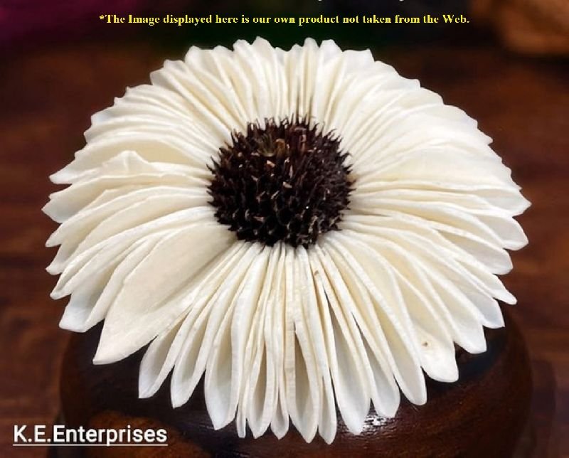 SOLA SUNFLOWER WITH DAISY