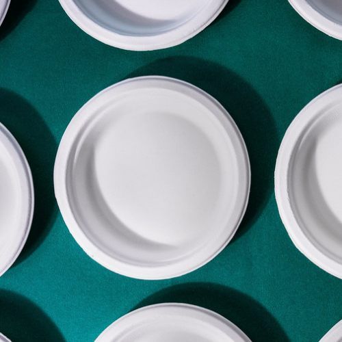 9 Inch Round Bagasse Plates (25 Pcs)